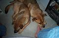 foot warmers